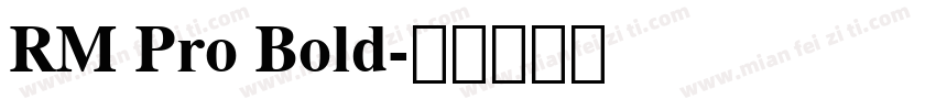 RM Pro Bold字体转换